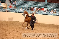 08yn-13997 proof