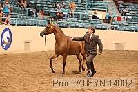 08yn-14002 proof