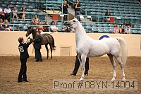 08yn-14004 proof