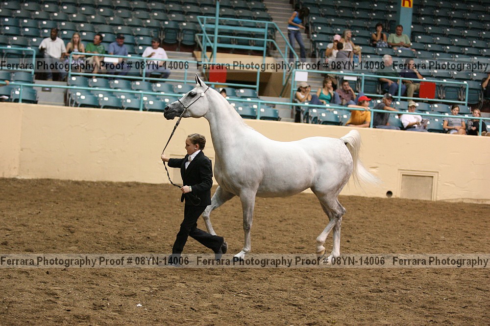 Proof 08yn-14006