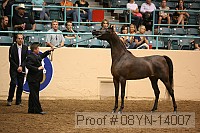 08yn-14007 proof