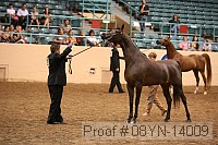 08yn-14009 proof