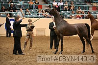 08yn-14010 proof