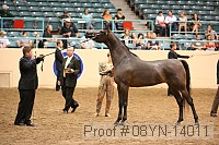 08yn-14011 proof