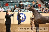 08yn-14012 proof