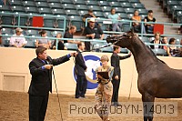 08yn-14013 proof