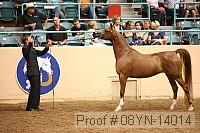 08yn-14014 proof