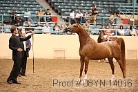 08yn-14016 proof