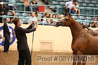 08yn-14018 proof