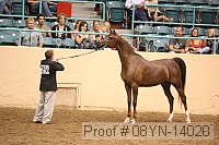 08yn-14020 proof