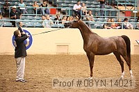 08yn-14021 proof
