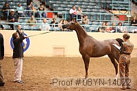 08yn-14022 proof