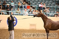 08yn-14023 proof