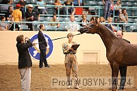 08yn-14024 proof