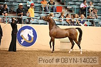 08yn-14026 proof