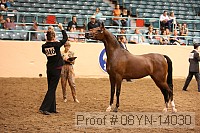 08yn-14030 proof