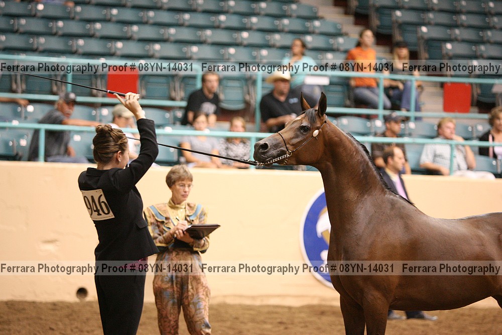 Proof 08yn-14031