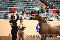 08yn-14031 proof