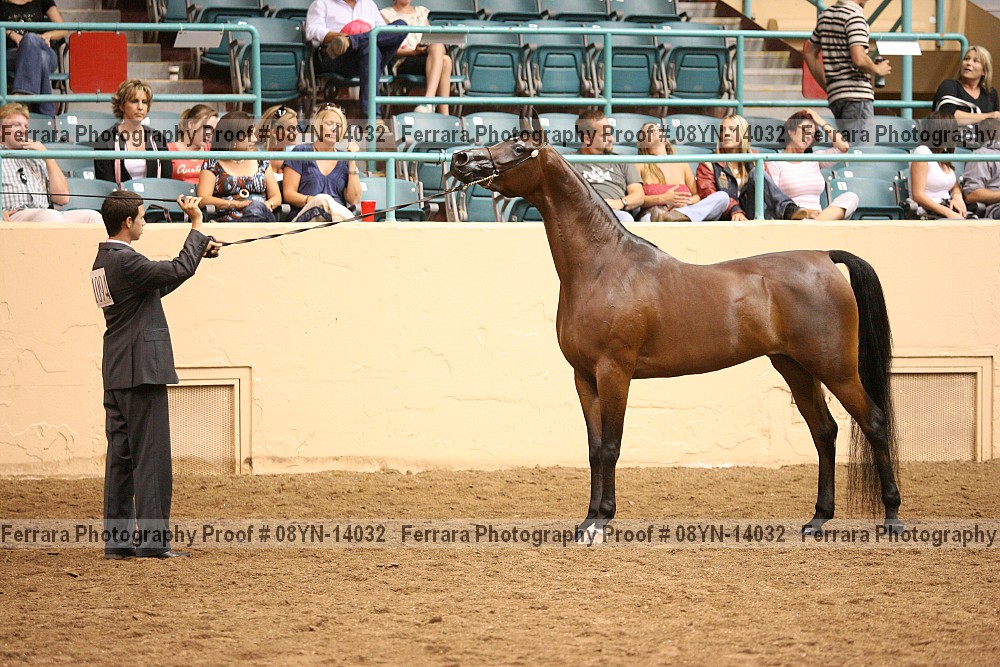 Proof 08yn-14032