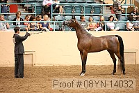 08yn-14032 proof
