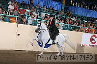 08yn-17152 proof