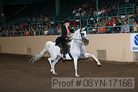 08yn-17166 proof