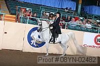 08yn-02482 proof