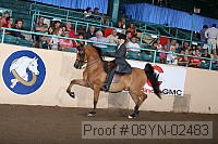 08yn-02483 proof