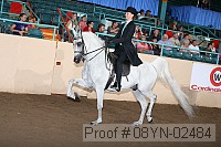 08yn-02484 proof