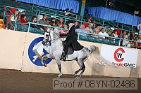 08yn-02486 proof