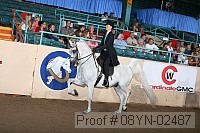 08yn-02487 proof