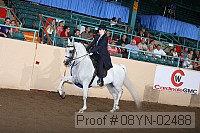 08yn-02488 proof