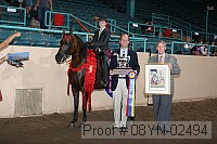 08yn-02494 proof