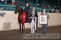 08yn-02495 proof