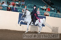 08yn-02497 proof