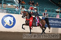 08yn-02499 proof