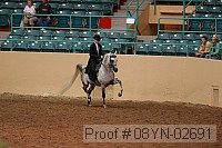 08yn-02691 proof