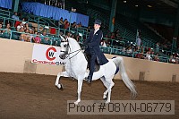 08yn-06779 proof