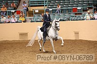 08yn-06789 proof