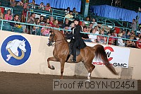 08yn-02454 proof