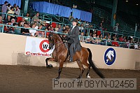 08yn-02456 proof