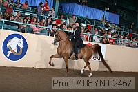 08yn-02457 proof
