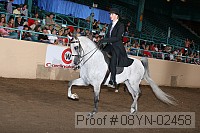 08yn-02458 proof