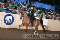08yn-02462 proof