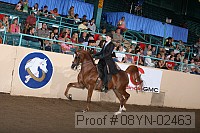 08yn-02463 proof