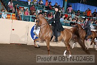 08yn-02466 proof