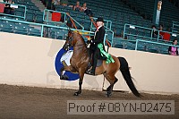 08yn-02475 proof