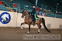 08yn-02476 proof