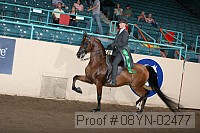08yn-02477 proof