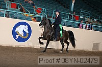 08yn-02479 proof